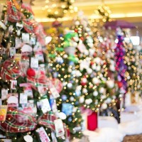 Ottawa Gaels Christmas Social – Saturday December 17th